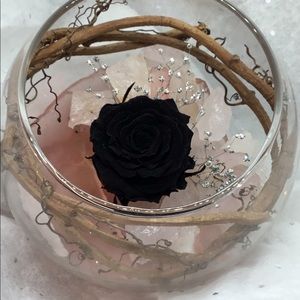 Preserved Black Rose Bowl w/ Rose Quartz Crystal